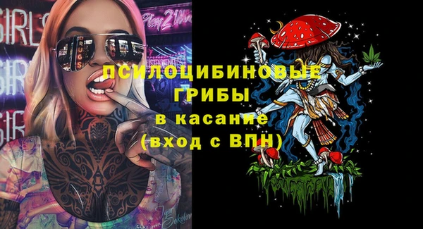 шишки Абинск