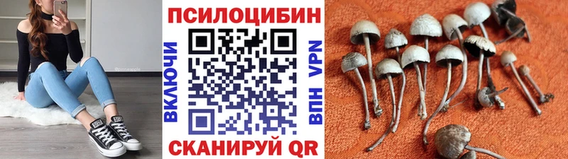 Псилоцибиновые грибы MAGIC MUSHROOMS  наркота  Копейск 